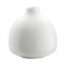 Vaso